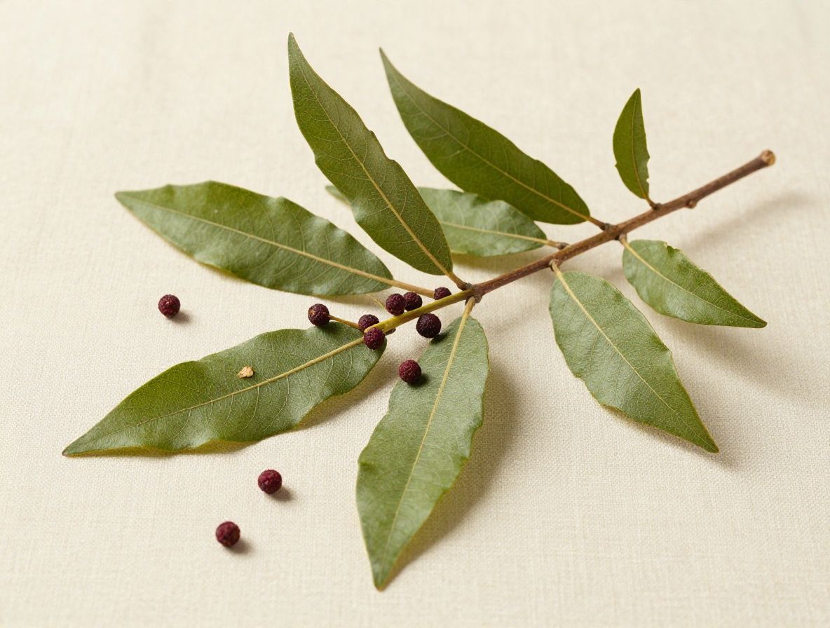 Hojas frescas de ashwagandha con bayas rojas pequeñas en una rama sobre fondo de tela de lino natural, fotografiado en estilo ilustración botánica con luz suave y difusa
